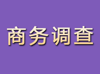 冷水江商务调查